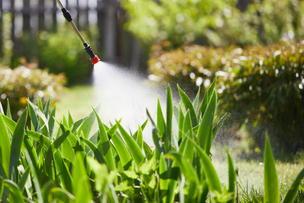 Tamper-Resistant Bait Stations for Rodents in Gordon