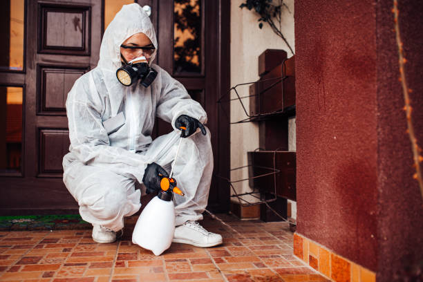 Attic and Crawl Space Rodent Treatment in Gordon